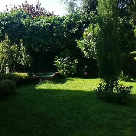 L.t. Metis Guest house *