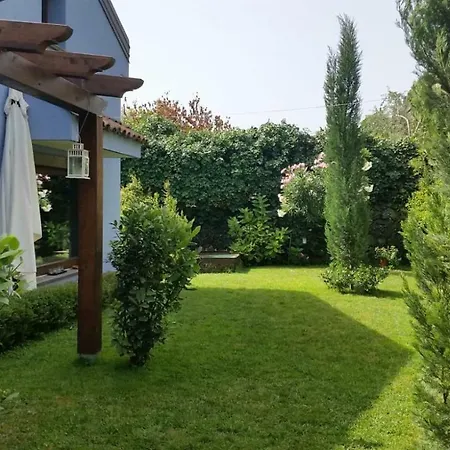 Vendégház L.t. Metis